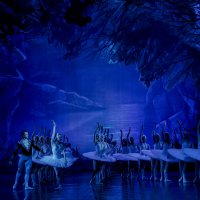 Сцена из балет ,Лебединое Озера. :: Владимир Максимов