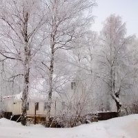 Зимний день :: Сергей Кочнев