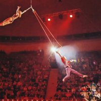 Цирковая гимнастика. :: Андрей Хлопонин