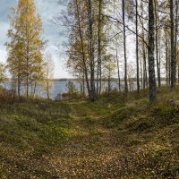 Панорама осени :: Андрей Бобин