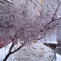 ледяной день :: Елена Шаламова