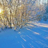 Январь...Утро. Мороз,солнце и тени на снегу! :: Владимир 