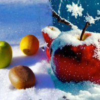 Яблоки на снегу :: Юрий Гайворонский