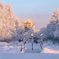 Северная Яблоневая аллея в Ухте (Коми) в январе, на горизонте уже видна зимняя тайга :: Николай Зиновьев