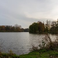 Озеро в ноябре :: Николай Гирш