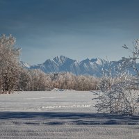 ... :: Евгений(Жора) Житников