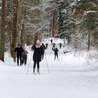 Лыжный спорт для любого возраста. :: Милешкин Владимир Алексеевич 