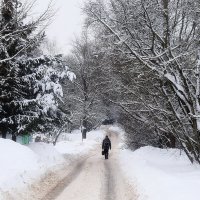 Красота на каждом шагу. :: Татьяна Помогалова