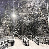 Снегопад. Мосты Светлогорска. :: Валерия Комова