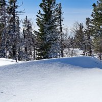 Снежные барханы :: Павел Трунцев