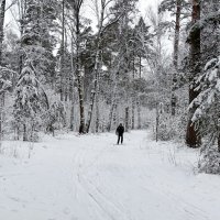 Одинокий лыжник. :: Милешкин Владимир Алексеевич 