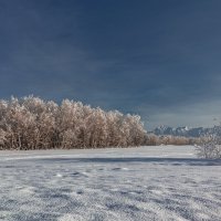 ... :: Евгений Житников