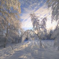 Морозный январь :: Александр Белый