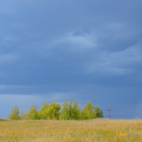 Перед грозой :: Ксения Хорошилова