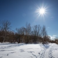 В зимнем парке... :: Сергей Кичигин