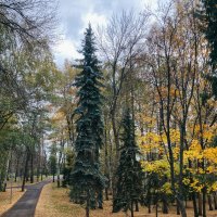 Осень :: Юлия Бабаева