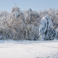 Снег :: Pavel Blashkin