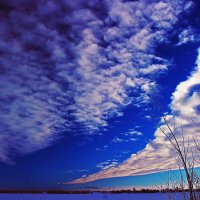 Февраль..Небо и облака над поймой Юганской Оби. :: Владимир 