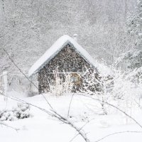 Февраль. Снегопад. :: Юрий Пучков