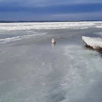 Залив замёрз :: Liudmila LLF