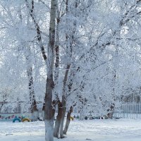 Природное кружево :: Валентина 