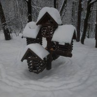 О вчерашнем снегопаде :: Андрей Лукьянов