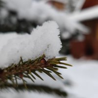 Зима :: Дмитрий Сычевский