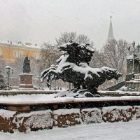 снегопад :: РозаВетроф 