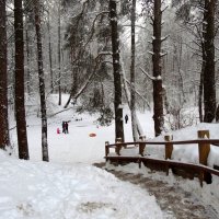 спуск к реке :: Валентина. .