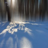 Солнечный свет и тени на снегу :: Александр Синдерёв