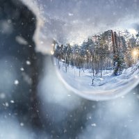 Зимний лес в стеклянном шаре :: Валерий Вождаев