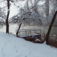 Прогулка по зимнему парку. :: Анатолий Щербак