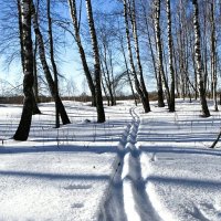 Только на лыжах можно пройти. :: Милешкин Владимир Алексеевич 