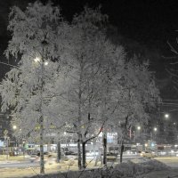 Снежный вечер. :: Вера Щукина