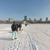 Отличная прогулка через Волгу в морозный солнечный денек ! :: марина ковшова 
