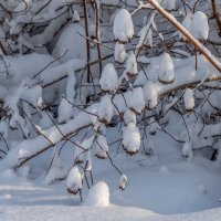 После снегопада :: Валерий Иванович
