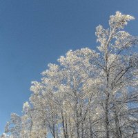 Воспаряйте ввысь с друзьями! :: Стальбаум Юрий 