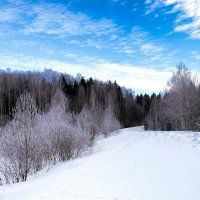 Февраль на Смоленщине. :: Милешкин Владимир Алексеевич 