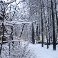 Зимой в городе :: Елена Семигина