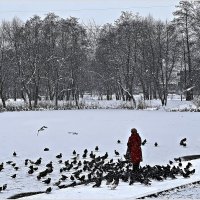 Картинка зимы. :: Валерия Комова