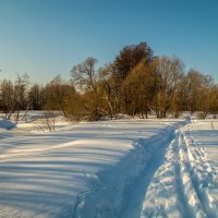 Февраль злится, но весну чует. 03 :: Андрей Дворников