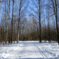 В городском парке. :: Милешкин Владимир Алексеевич 