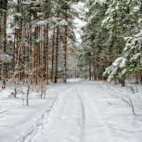 Зимний пейзаж. :: Милешкин Владимир Алексеевич 