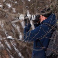 Фотоохота. :: Владимир Безбородов