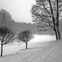 Зима в Царицыно. :: Борис Бутцев