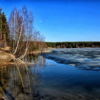 Весна на озере :: Oleg S