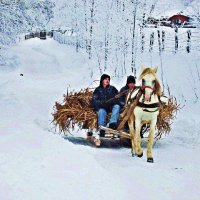 зима в Карпатах :: Степан Карачко