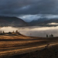 Рассвет в Курайской степи :: Марина Фомина.