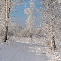 В зимнем наряде... :: Вадим Басов
