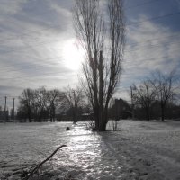 ледяной февраль :: Елена Шаламова